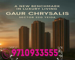 Gaur chrysalis banner 2 m