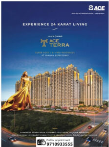 Ace terra project